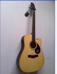 韩国Samick三益 GD100RSCE 单板电箱木吉他 41寸缺角民谣吉他