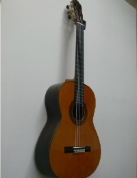 【最新到货】Martinez玛丁尼 MCG-150全单板 古典吉他