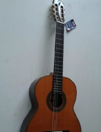 【授权正品】法摩萨Famosa FC55C 55S 全单板 木吉他 古典吉他